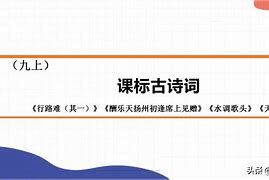 包含泛解析2024新版程序的词条