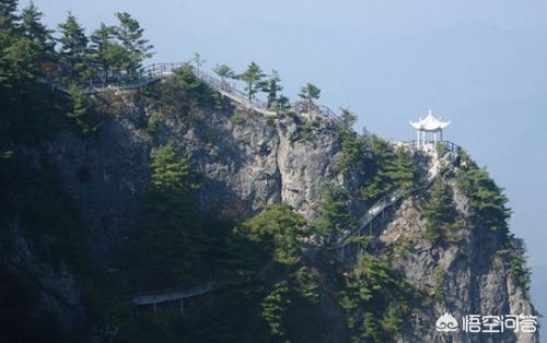 （804影视网科幻电影迅雷下载）